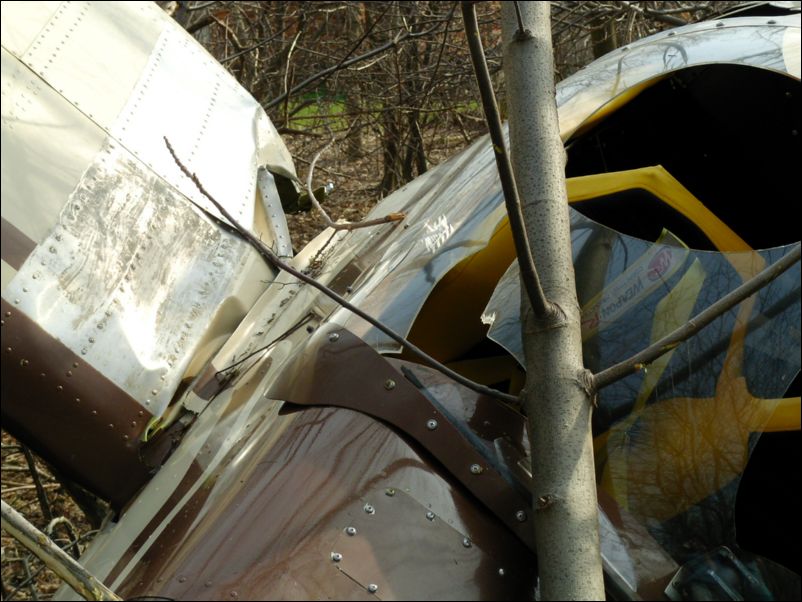 Right wing, still attached, sort of.